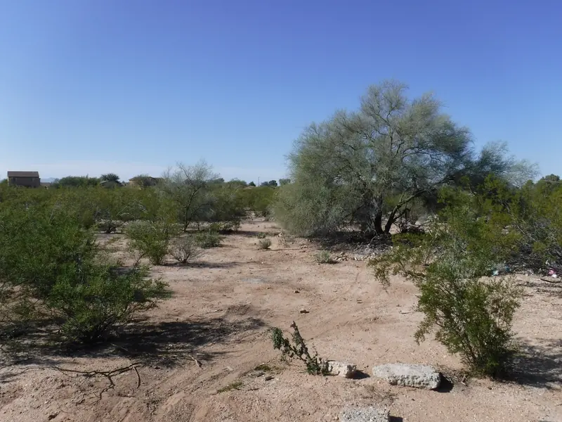 Homeless camp cleanup after: the ground cleared