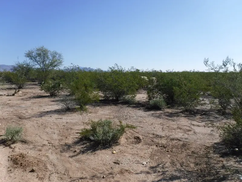 Debris hauling after: the desert cleared