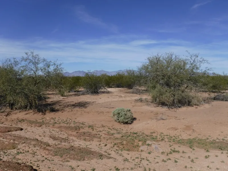 Land clearing in Tucson, after: the same desert spot with the tires gone