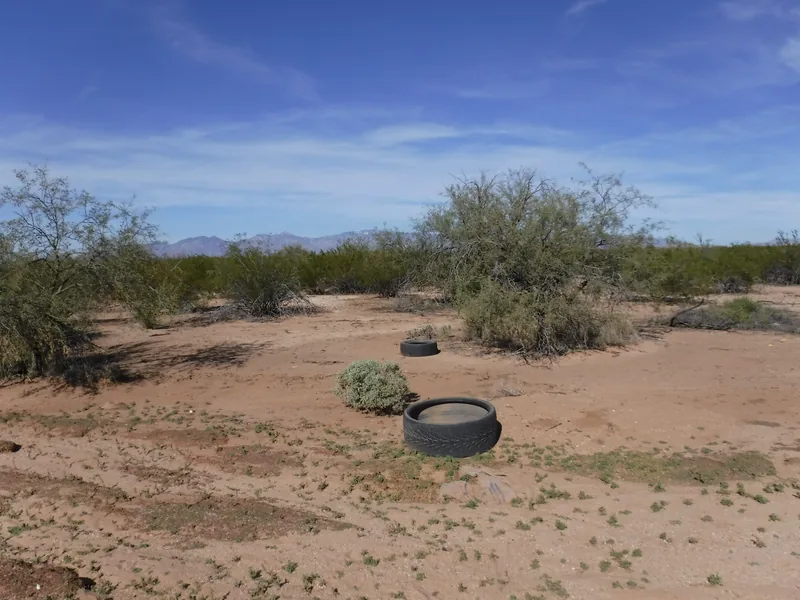 Land clearing in Tucson, before: tires dumped on open desert acreage
