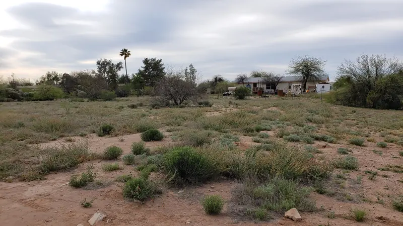 Lot clearing near Marana, AZ, before: weeds and low brush across the lot