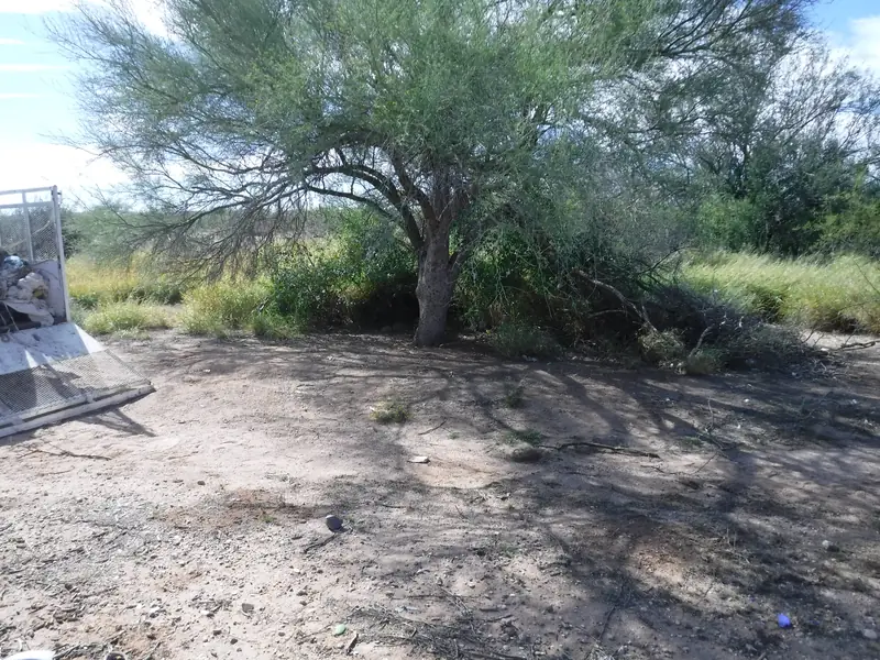 Storm debris cleanup, after: the ground under the tree cleared and the debris loaded on the trailer