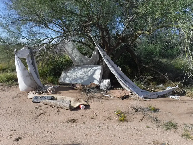 Storm debris cleanup, before: fabric, a mattress and carpet tangled under a desert tree
