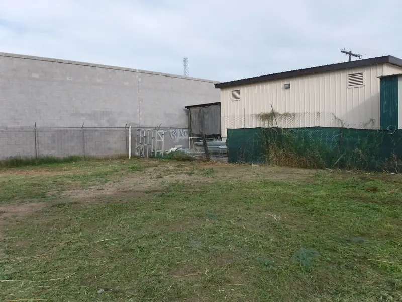 Weed removal after: the weeds cut down and cleared